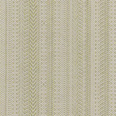 STOUT FABRICS  -PAINE -PAIN-1