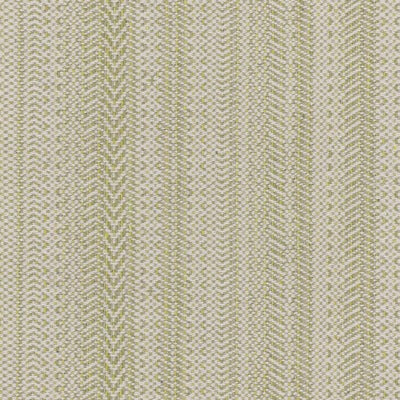 Stout Fabrics , Paine Paine, Green color, Upholstery Wovens style type , pattern number  PAIN-1