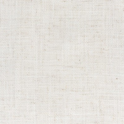 Stout Fabrics , Pirate Pirate, White color, Upholstery Texture style type , pattern number  PIRA-1