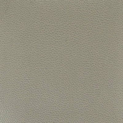Stout Fabrics , Pitcher Pitcher, Grey color, Faux Leather style type , pattern number  PITC-1