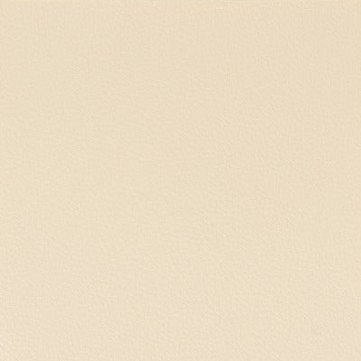 Stout Fabrics , Pitcher Pitcher, Beige color, Faux Leather style type , pattern number  PITC-5