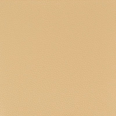 Stout Fabrics , Pitcher Pitcher, Camel color, Faux Leather style type , pattern number  PITC-6