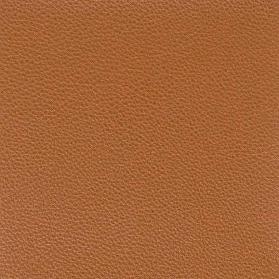 Stout Fabrics , Pitcher Pitcher, Brown color, Faux Leather style type , pattern number  PITC-7