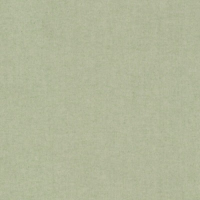 Stout Fabrics , Ponder Ponder, Green color, Multipurpose Wovens style type , pattern number  POND-1