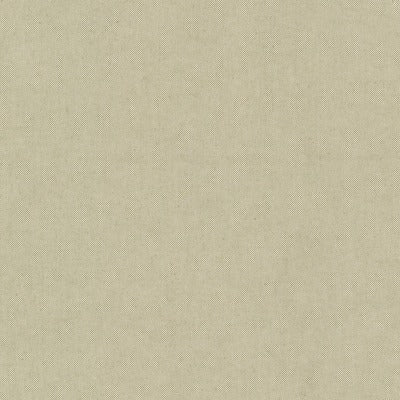 Stout Fabrics , Ponder Ponder, Green color, Multipurpose Wovens style type , pattern number  POND-2
