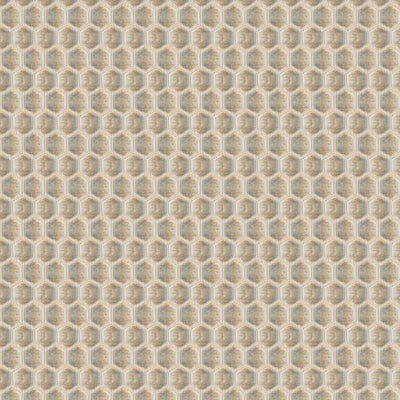 STOUT FABRICS  -PORZA -PORZ-2