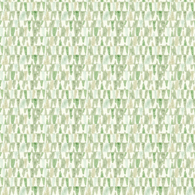 STOUT FABRICS  -PRACTICAL -PRAC-1