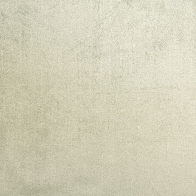 STOUT FABRICS  -PREMIER -PREM-5