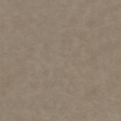 Stout Fabrics , Quay Quay, Brown color, Faux Leather style type , pattern number  QUAY-2