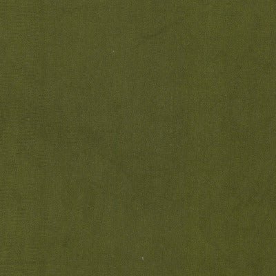 Stout Fabrics , Queen Queen, Olive color, Upholstery Velvet style type , pattern number  QUEE-10