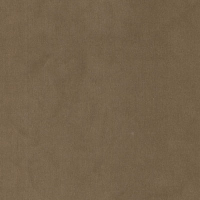 Stout Fabrics , Queen Queen, Brown color, Upholstery Velvet style type , pattern number  QUEE-1