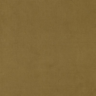 Stout Fabrics , Queen Queen, Gold color, Upholstery Velvet style type , pattern number  QUEE-26