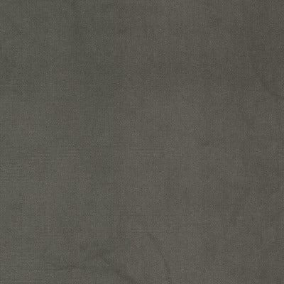 Stout Fabrics , Queen Queen, Grey color, Upholstery Velvet style type , pattern number  QUEE-3