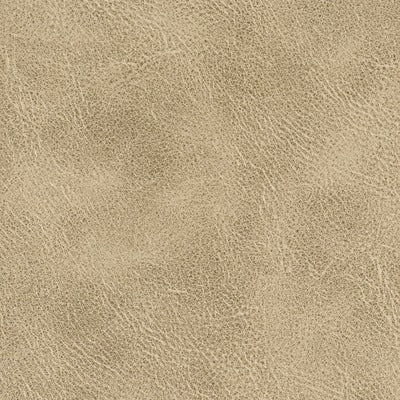 Stout Fabrics , Radnor Radnor, Brown color, Faux Leather style type , pattern number  RADN-1