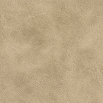 STOUT FABRICS  -RADNOR -RADN-1