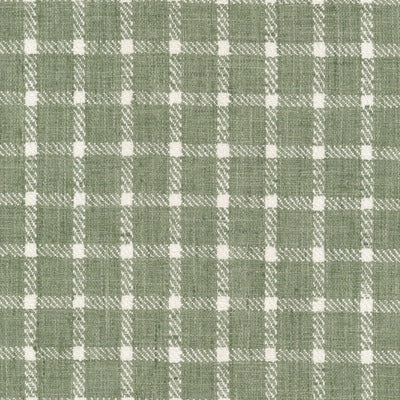 Stout Fabrics , Rankle Rankle, Green color, Multipurpose Wovens style type , pattern number  RANK-1