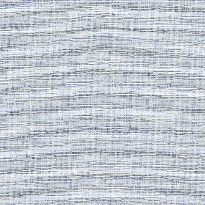 Stout Fabrics , Record Record, Blue/white color, Multipurpose Wovens style type , pattern number  RECO-2