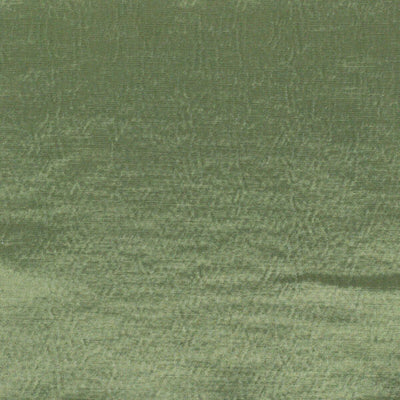 STOUT FABRICS  -REED -REED-1