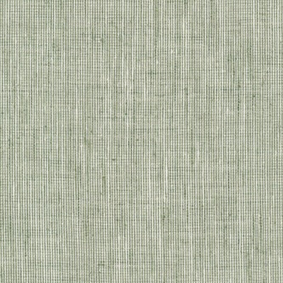 Stout Fabrics , Rembrandt Rembrandt, Green color, Multipurpose Texture style type , pattern number  REMB-6