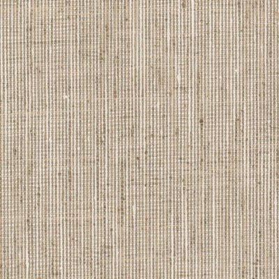 Stout Fabrics , Rembrandt Rembrandt, Khaki color, Multipurpose Texture style type , pattern number  REMB-7
