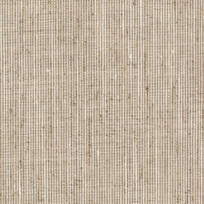 STOUT FABRICS  -REMBRANDT -REMB-7