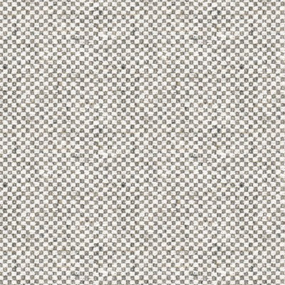 Stout Fabrics , Salsa Salsa, Black color, Multipurpose Wovens style type , pattern number  SALS-1