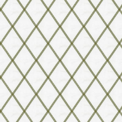 STOUT FABRICS  -SAMCEDA -SAMC-4