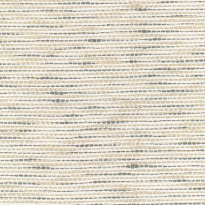 Stout Fabrics , Secane Secane, Beige color, Multipurpose Wovens style type , pattern number  SECA-2