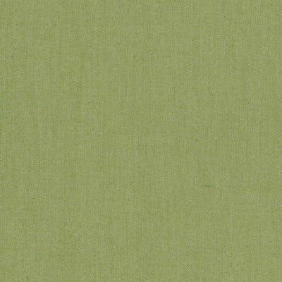 Stout Fabrics , Snuggle Snuggle, Green color, Multipurpose Texture style type , pattern number  SNUG-2