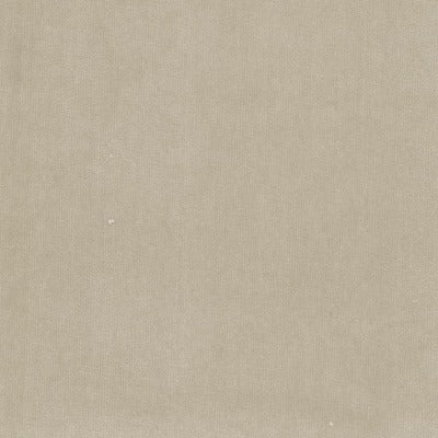 Stout Fabrics , Spock Spock, Birch color, Upholstery Velvet style type , pattern number  SPOC-8
