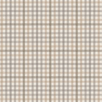 STOUT FABRICS  -STAMPEDE -STAM-4
