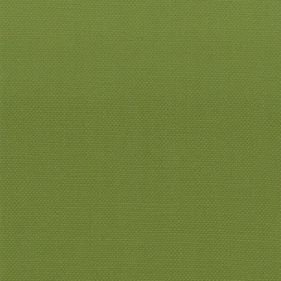 Stout Fabrics , Stanford Stanford, Green color, Multipurpose Texture style type , pattern number  STAN-14