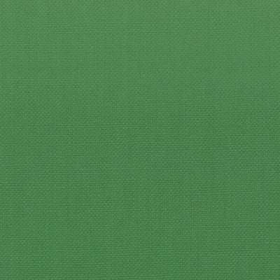Stout Fabrics , Stanford Stanford, Green color, Multipurpose Texture style type , pattern number  STAN-19