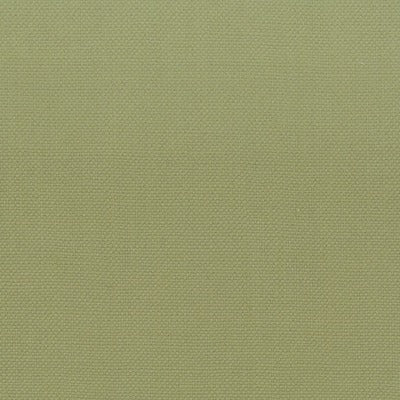 Stout Fabrics , Stanford Stanford, Green color, Multipurpose Texture style type , pattern number  STAN-1