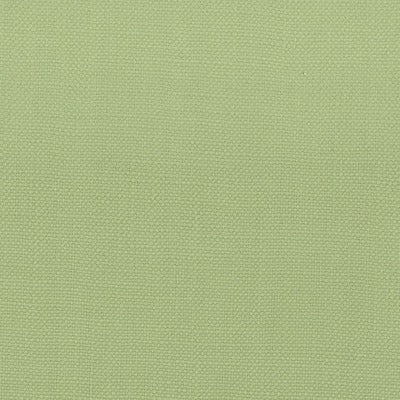 Stout Fabrics , Stanford Stanford, Green color, Multipurpose Texture style type , pattern number  STAN-22