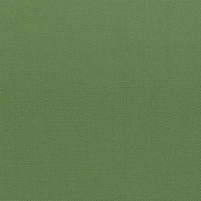 Stout Fabrics , Stanford Stanford, Green color, Multipurpose Texture style type , pattern number  STAN-27
