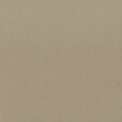Stout Fabrics , Stanford Stanford, Beige color, Multipurpose Texture style type , pattern number  STAN-46