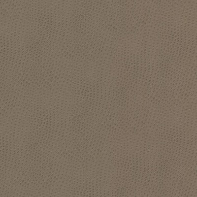 Stout Fabrics , Steeplechase Steeplechase, Beige color, Faux Leather style type , pattern number  STEE-1