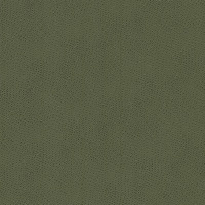 Stout Fabrics , Steeplechase Steeplechase, Green color, Faux Leather style type , pattern number  STEE-2