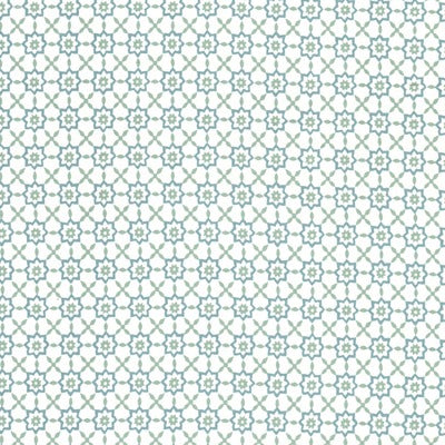 Stout Fabrics , Stella Stella, Spa color, Multipurpose Print style type , pattern number  STEL-2