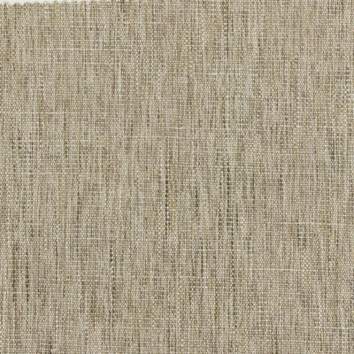 STOUT FABRICS  -STOMP -STOM-2