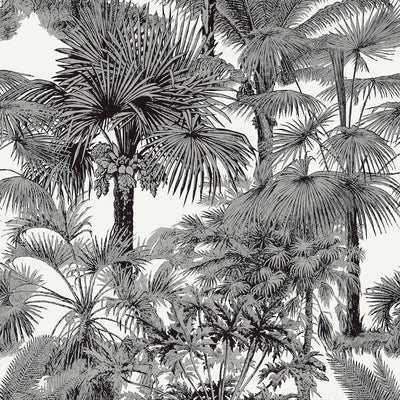 Thibaut Design wallcovering, Palm Botanical pattern , Black , White color, Leaves,Toile,Tropical style type , pattern number  T10102