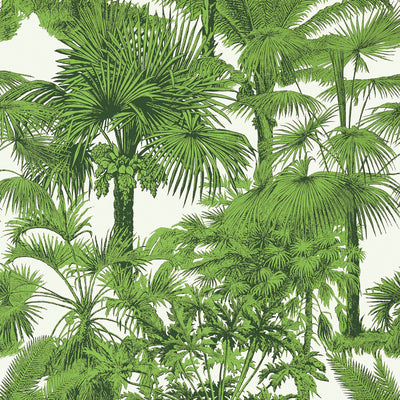 Thibaut Design wallcovering, Palm Botanical pattern , Black , Green color, Leaves,Toile,Tropical style type , pattern number  T10103