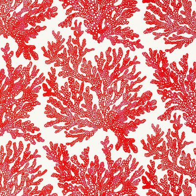 Thibaut Design wallcovering, Marine Coral pattern , Coral color, Tropical style type , pattern number  T10120