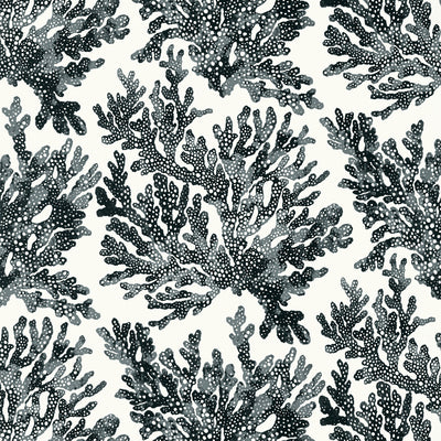 Thibaut Design wallcovering, Marine Coral pattern , Black color, Tropical style type , pattern number  T10123