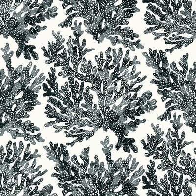 THIBAUT WALLCOVERING-MARINE CORAL- T10123