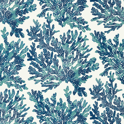Thibaut Design wallcovering, Marine Coral pattern , Spa Blue color, Tropical style type , pattern number  T10124