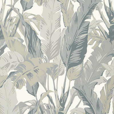 Thibaut Design wallcovering, Travelers Palm pattern , Dark Grey color, Leaves,Tropical style type , pattern number  T10129