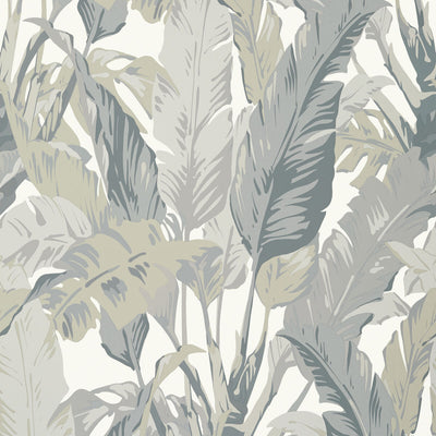 THIBAUT WALLCOVERING-TRAVELERS PALM- T10129
