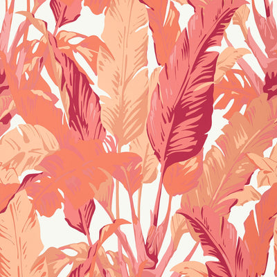 THIBAUT WALLCOVERING-TRAVELERS PALM- T10130